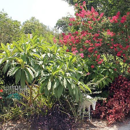 Heron Cay Lakeview Bed & Breakfast 芒特多拉 外观 照片