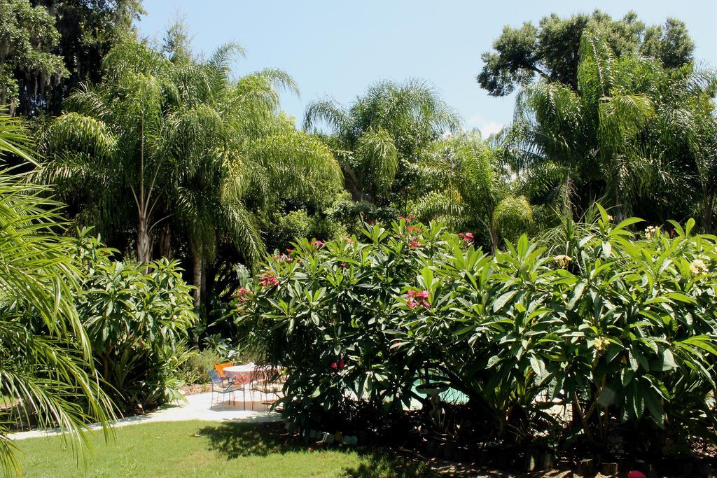 Heron Cay Lakeview Bed & Breakfast 芒特多拉 外观 照片