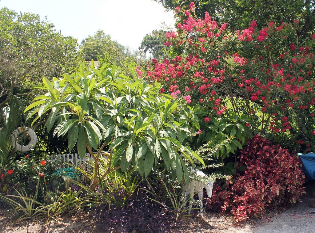Heron Cay Lakeview Bed & Breakfast 芒特多拉 外观 照片