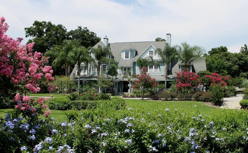 Heron Cay Lakeview Bed & Breakfast 芒特多拉 外观 照片